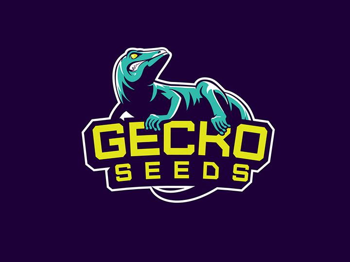 logo gecko seeds logo gecko seeds