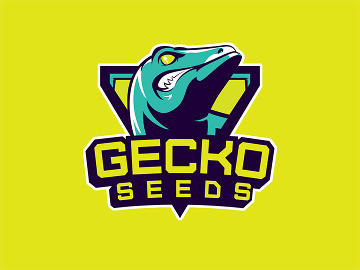 logo gecko seeds logo gecko seeds